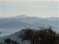 Best offers for Misolete Cortegana